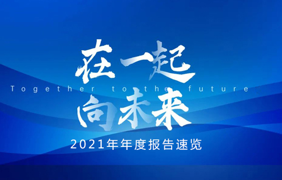 2021年年度汇报速览