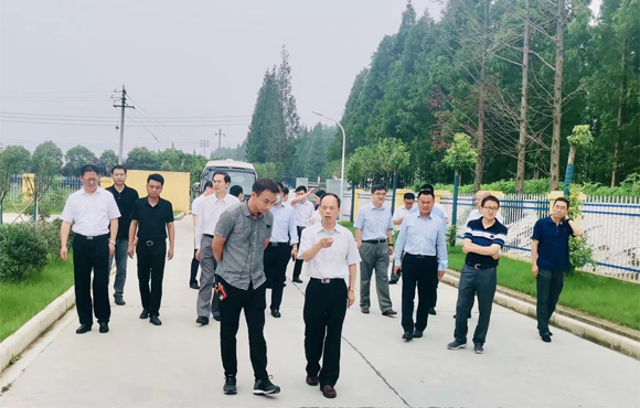 富联娱乐-妄想照进现实,致力成就将来!