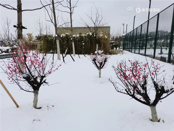 富联娱乐-妄想照进现实,致力成就将来!