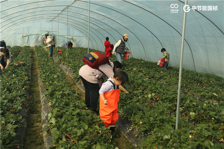 富联娱乐-妄想照进现实,致力成就将来!