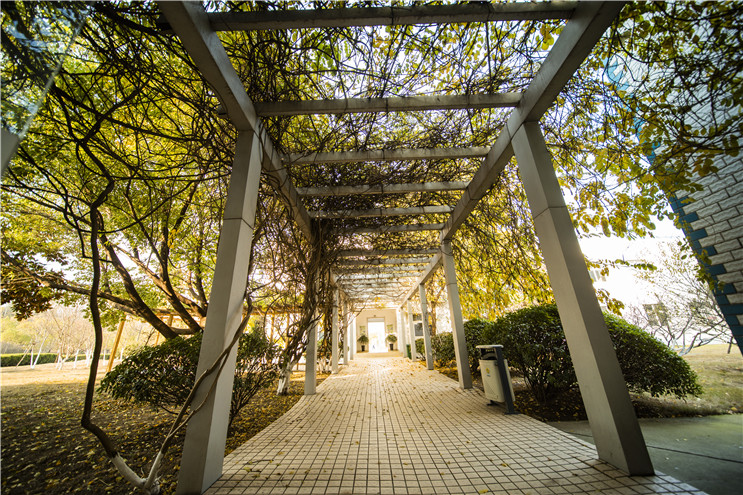 富联娱乐-妄想照进现实,致力成就将来!