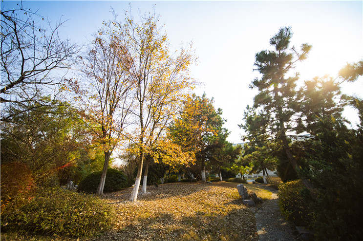 富联娱乐-妄想照进现实,致力成就将来!