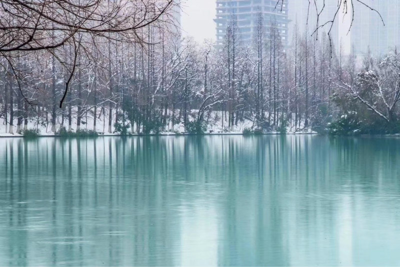 富联娱乐-妄想照进现实,致力成就将来!