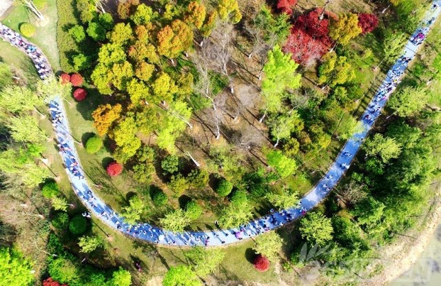 国祯环保-欢乐国祯环湖毅行