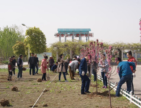 富联娱乐-妄想照进现实,致力成就将来!